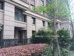 沙漠棕 荔枝面